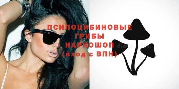 прущие грибы Нефтегорск