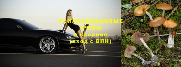 прущие грибы Нефтегорск