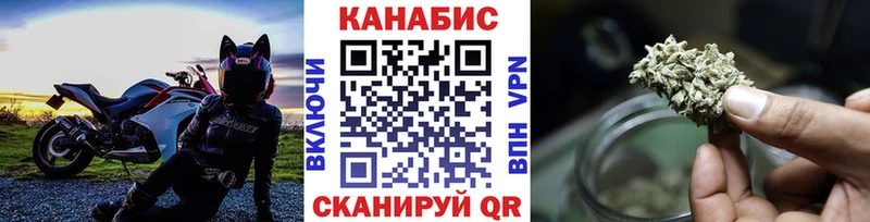 Каннабис сатива Обнинск